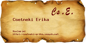 Csetneki Erika névjegykártya